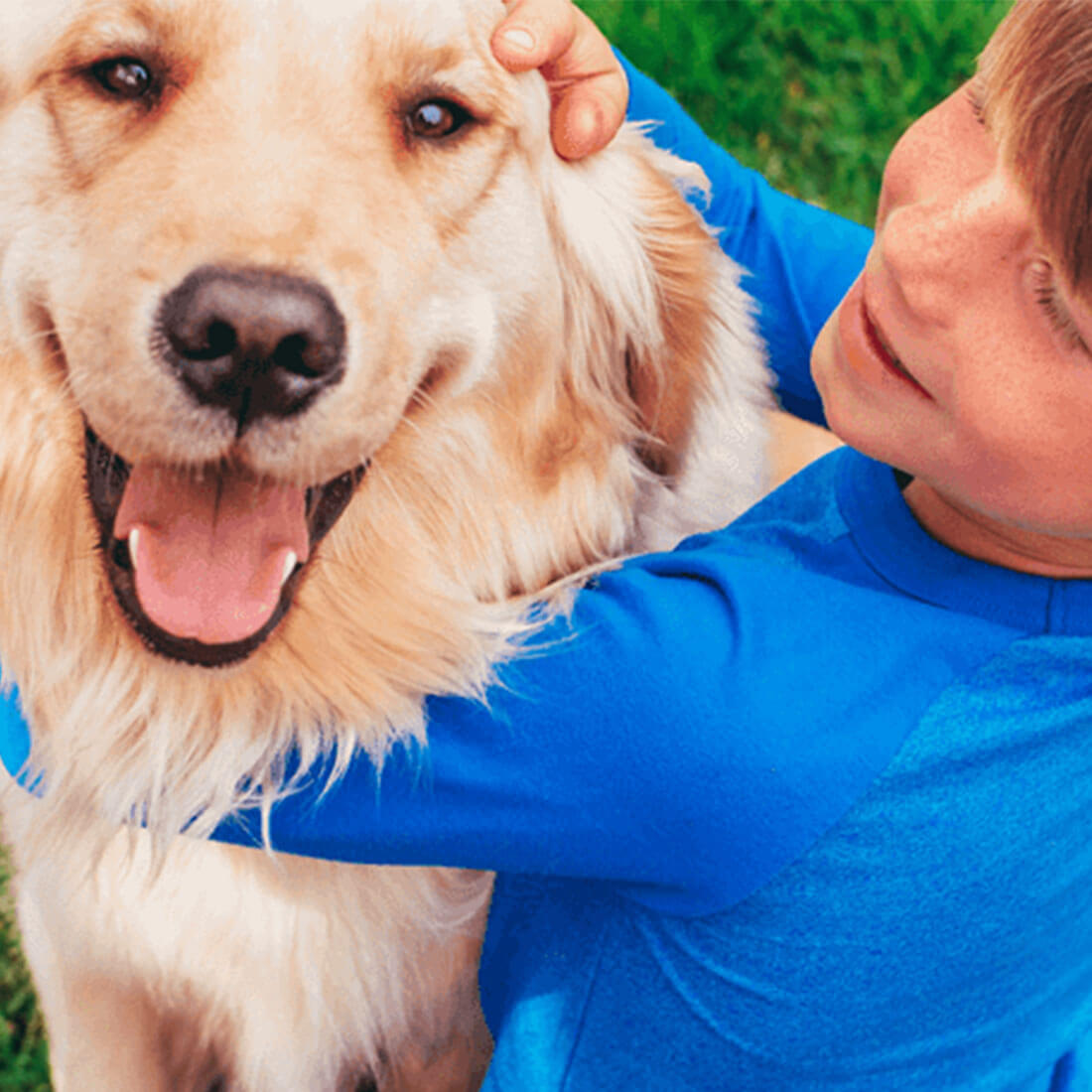 Breed selector thumb