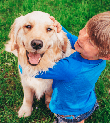 Puppy selector sales