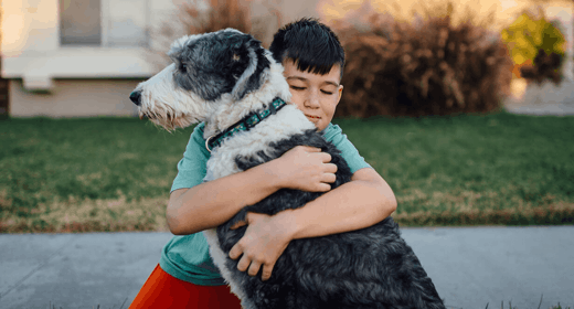 Nutrition for Large- and Giant-Breed Adult Dogs