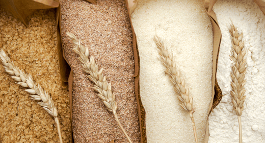 How Wheat is Used in Our Dog Foods