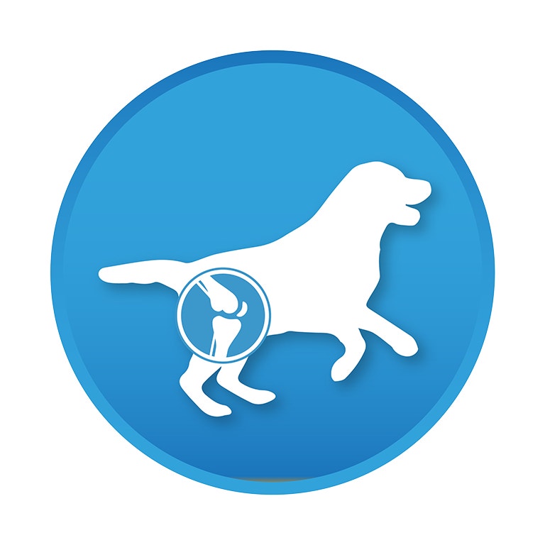 <p><strong>HELPS SUPPORT MOBILITY</strong><br>Allows dog to remain active</p>