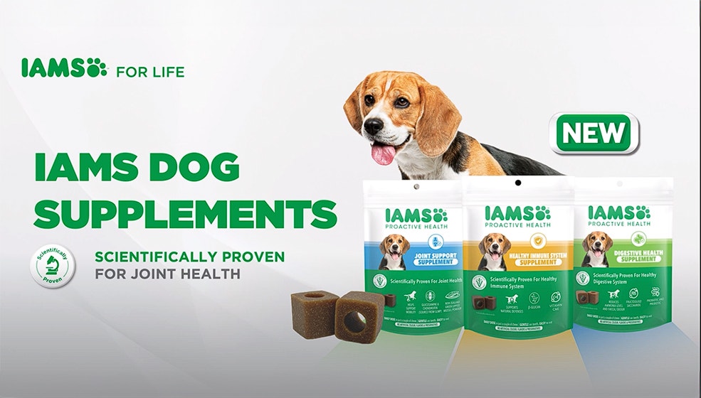 IAMS™ Proactive Health™ Joint Support Supplement