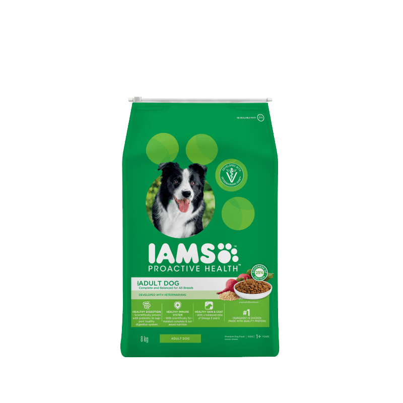 Iams puppy proactive health top