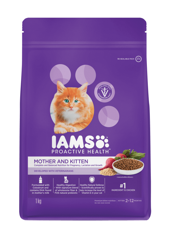 Iams healthy kitten dry food shop