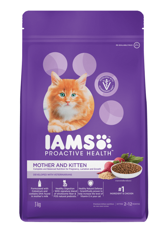 Iams cat pouches outlet