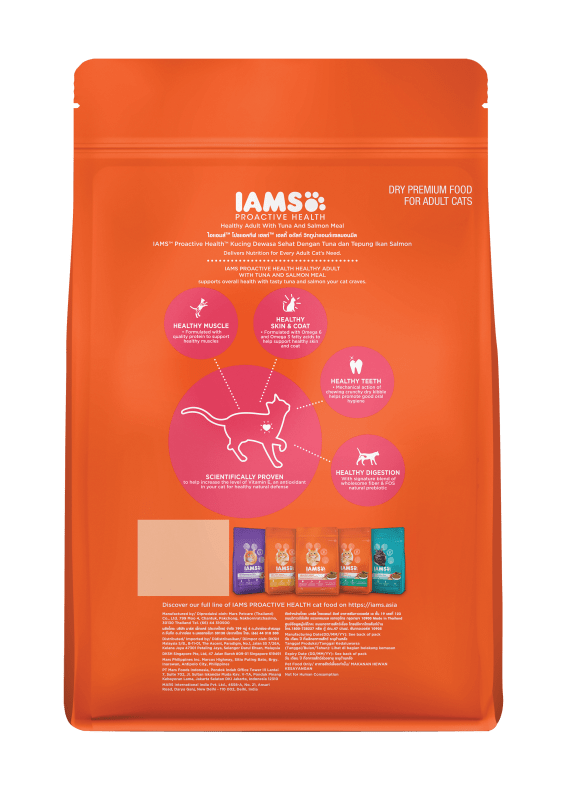 Iams kitten food feeding guidelines on sale