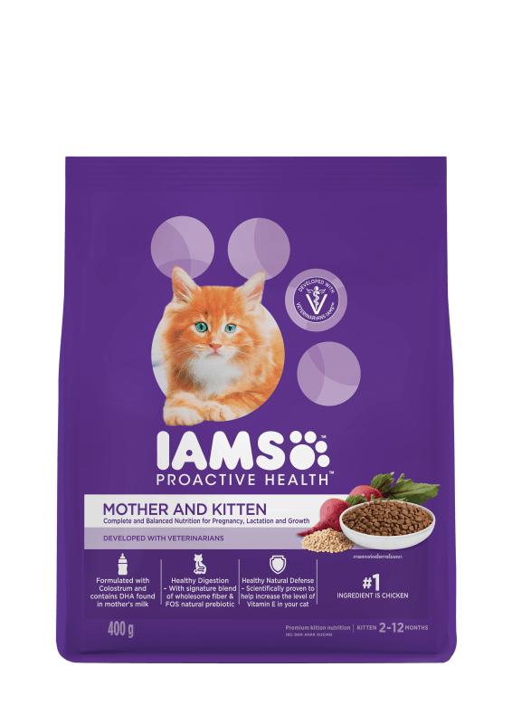 Food for mother cat shop