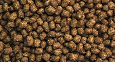 Puppy Ready Adult Dog Food