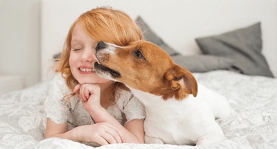 Why Do Dogs Lick People?