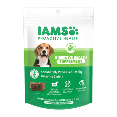 Enhance Your Dogs' Digestive Health with IAMS™ Proactive Health™ Supplement