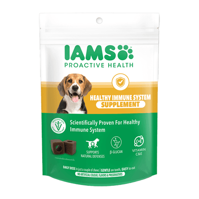 Strengthen Your Dog's Immune System with IAMS™ Proactive Health™ Supplement