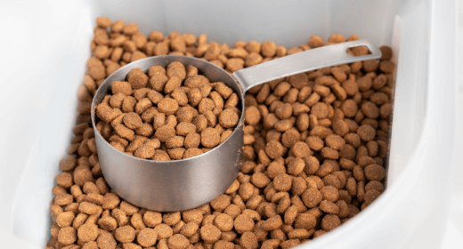 How Sodium Is Used in Our Cat Foods