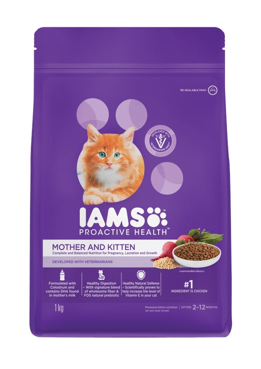 IAMS CAT PROACTIVE HEALTH FOOD FOR MOTHER AND KITTEN