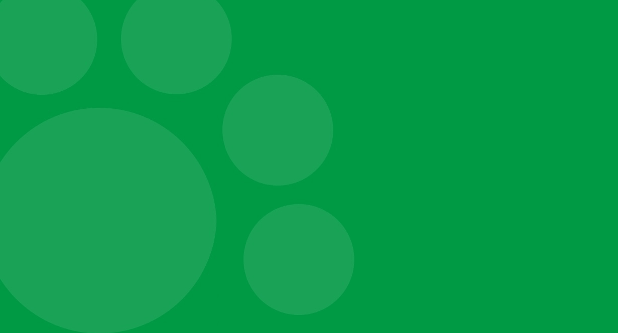 The Truth About Ethoxyquin in Dog Food IAMS