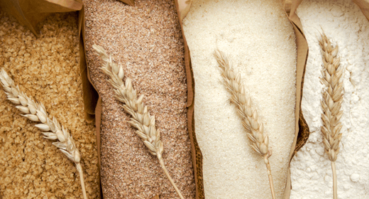 Is wheat flour ok for cheap dogs