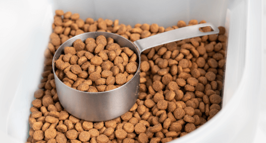 Low sodium cat food shop